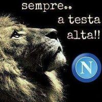 CiroCala79 (@cica7981) 's Twitter Profile Photo CiroCala79 (@cica7981) 's Twitter Profile Photo