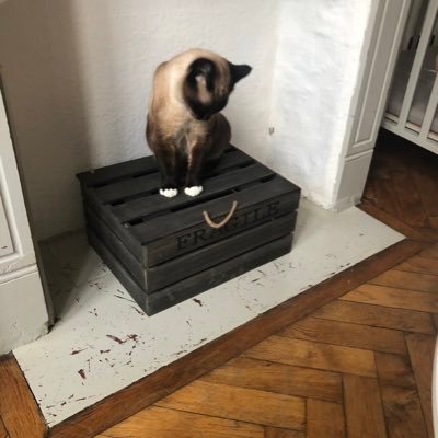 fabdemeu's profile picture. 