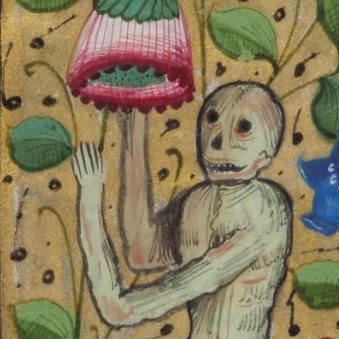 zooarchaeology's profile picture. not a zooarchaeologist