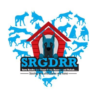 Save Rocky the Great Dane Rescue & Rehab