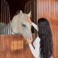 Nouf2022 (@nouf20223) 's Twitter Profile
