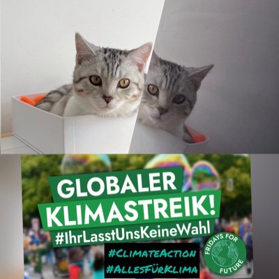 Think Global, Act Local- by @sumuelahi| #LocalAction is #ClimateAction| Every Action counts #SDGs #Klima #Bees #Biodiversity #cycling #resilience #local #সবুজ