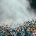 SV Student Section (@svstudntsection) Twitter profile photo SV Student Section (@svstudntsection) Twitter profile photo