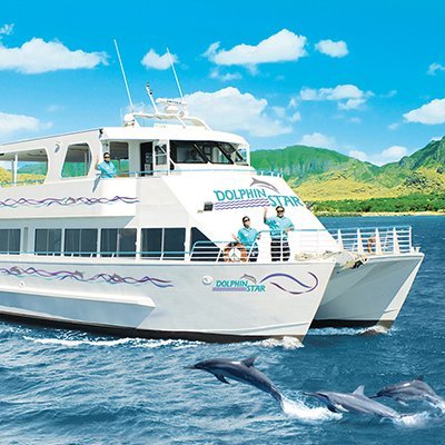 🐬 Wild Dolphin Watch in Waianae and ☀️ Sunset Cruise in Waikiki ! We depart from 2 locations. Visit link below for directions.