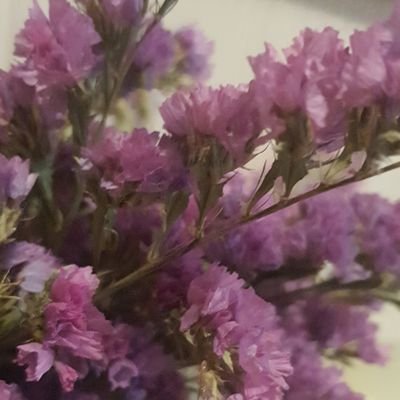 Reza71391071's profile picture. آری اینچنین بود برادر....