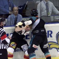 Stef (@announcer_stef) 's Twitter Profile Photo Stef (@announcer_stef) 's Twitter Profile Photo