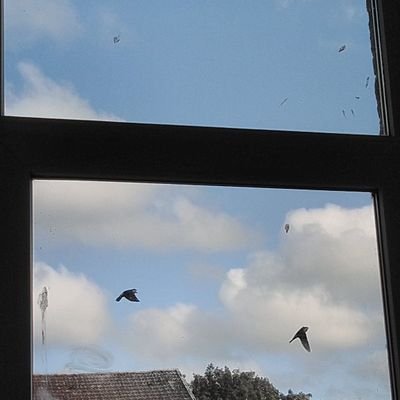 HNESOE's profile picture. Yasa beden, vicdan ruhtur.