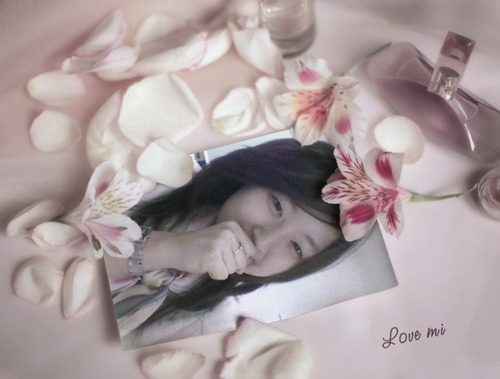 mi727's profile picture. I'm Mi♥ EWHA W Univ. 나만의 향기를 갖고 따뜻하게 감사하며 살고픈 한사람.