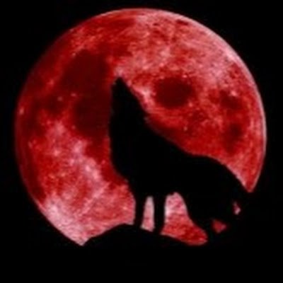 kazuletay's profile picture. 