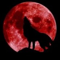 Kazuletay (@kazuletay) Twitter profile photo