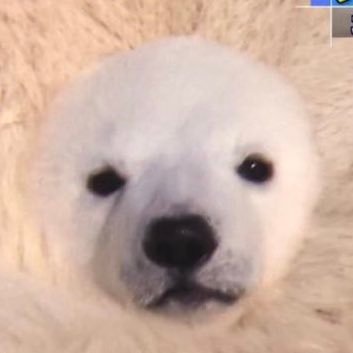 antoine_leth's profile picture. 99% RT 1% tweet