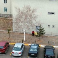 ninja (@laylaylililom) Twitter profile photo