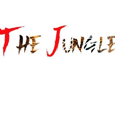 photographers and videographers right here in Columbia, SC 📍 Jungle Visions Email Junglevisions803@gmail.com for consultation and rates ! 🦍🌴