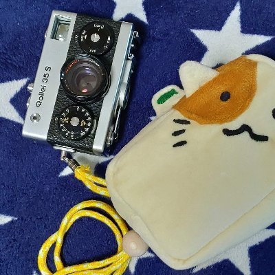 わいちーのさんのプロフィール画像