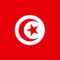 Engineering

#fellaghas: Fought, Fight, and Will Fight only for My Tunisia and our Flag.... not the government