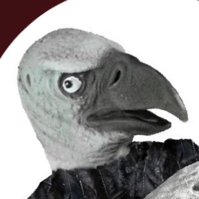 ElGallinazo Profile Picture