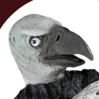 El Gallinazo(@ElGallinazo) 's Twitter Profile Photo