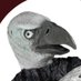 El Gallinazo (@elgallinazo) Twitter profile photo El Gallinazo (@elgallinazo) Twitter profile photo