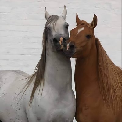 7amoode_4's profile picture. 