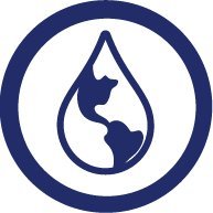 El Foro de Seguridad Hídrica de las Américas es un think tank multidisciplinar creado en el CEDUA de El Colegio de México.