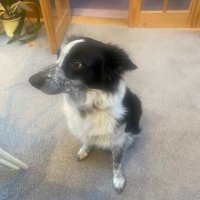 Dolly B Dean (@oldmillbystream) 's Twitter Profile