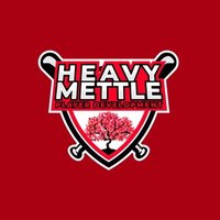 Heavy Mettle Player Development (@mettleplayerdev) 's Twitter Profile