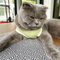 ปลุกความเงี่ยนในตัวคุณ 😆 (@6ulhpxvftt9q9in) 's Twitter Profile