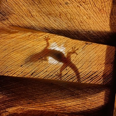 GenghisKhanny's profile picture. 