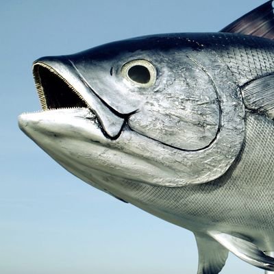 tabetsclip's profile picture. マグロ彫刻12作品とマグロ立体プリントで皆様の笑顔と幸せに貢献、絵と彫刻をアナログとデジタルを駆使して制作しています代表田部功一、instagram.ホームページへもお越しください。
https://t.co/OzR374uZWl