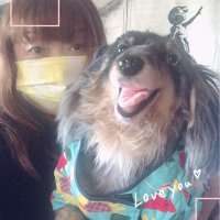 kazue(@kazue38054718) 's Twitter Profile Photo