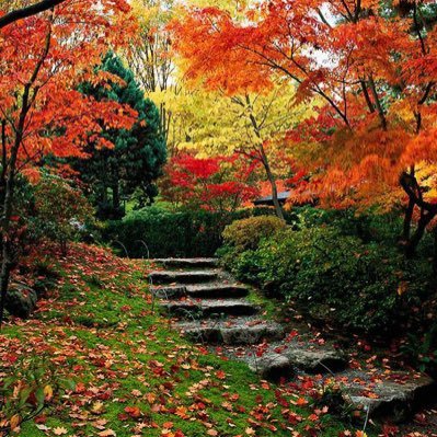 KySk4fsc6fjVqdS's profile picture. 醒着的人很痛苦！