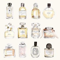 Perfumebottle@Neelaglass (@neelaglass) 's Twitter Profile