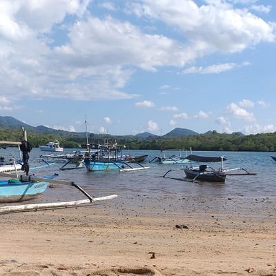 maniss1997's profile picture. 