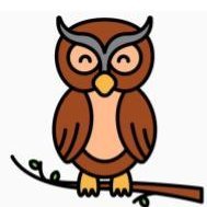 epic21st6to6owl's profile picture. Empowering Possibilities International Charter Owl