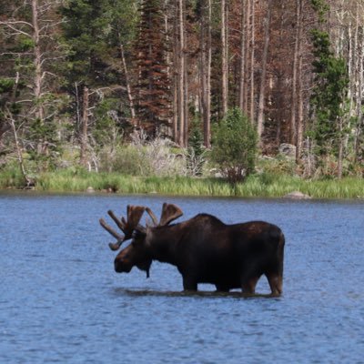 Adamjkent's profile picture. Husband, Father, Sports Fanatic