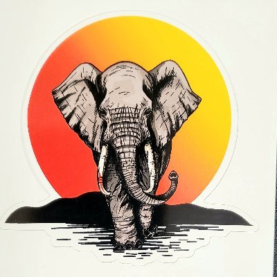 Nvr_irrELEPHANT Profile Picture