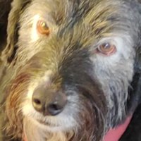 be le duc (@leduc65) 's Twitter Profile Photo be le duc (@leduc65) 's Twitter Profile Photo