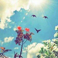 ترانيم الحياة (@noory11111) Twitter profile photo