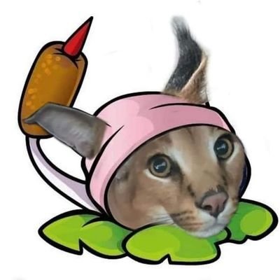 SandPuy's profile picture. este cartel no tiene nada que decir