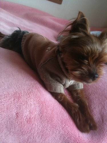 ikeyu1453's profile picture. 