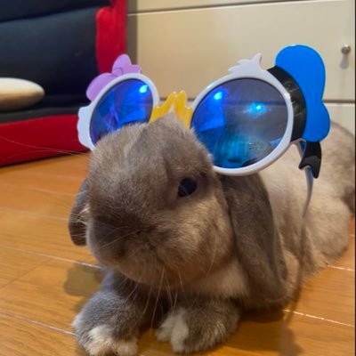あわさんのプロフィール画像