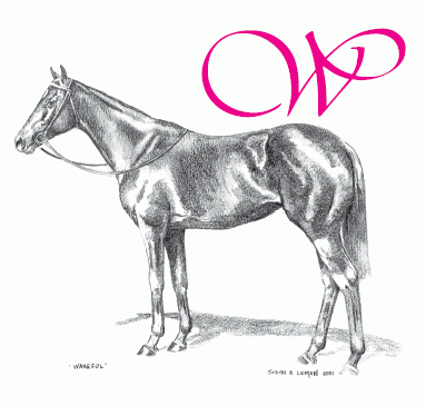 WakefulClub_Tas's profile picture. TWC suits those who seek an easy introduction to social events and fashionable fun through the thoroughbred racing community.