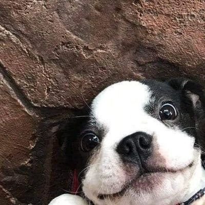 elebapsitaw's profile picture. cute chinita SHS student