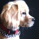 Robyn Booker - @BookerTunes - Twitter