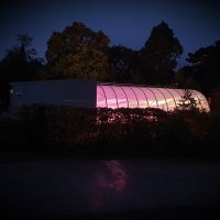 Wolfson Advanced Glasshouses (@uob_glasshouses) 's Twitter Profile