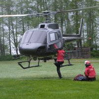 Colin (@colinpelton) 's Twitter Profile