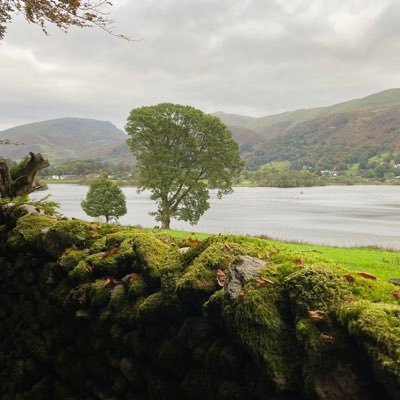 xlovingxlivingx's profile picture. Helping to build a better world 🙏🏼❤️🌍