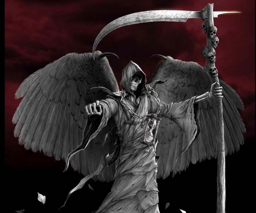 kcampos81's profile picture. 