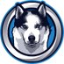 LoupScar (@loupscar) Twitter profile photo LoupScar (@loupscar) Twitter profile photo