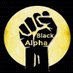 Black Alpha Network (@BlackAlphaNetw1) Twitter profile photo